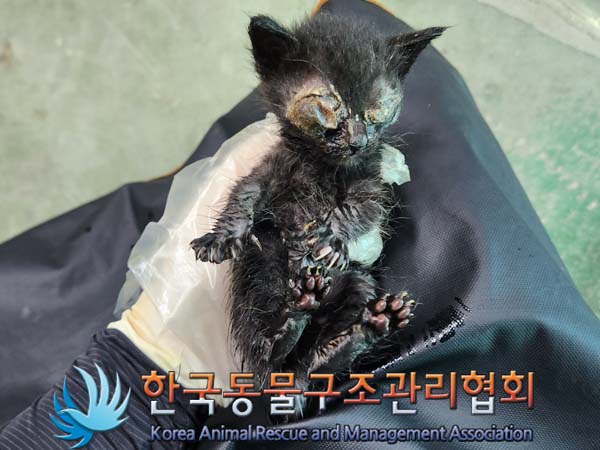 종료(자연사) 한국…